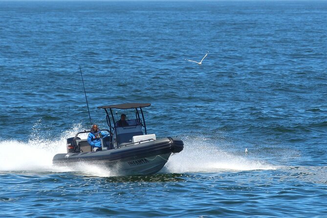 1 Day Whale Watching at Yzerfontein - The 6:30 am welcome briefing