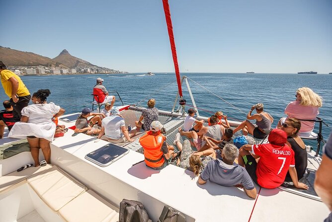 1- Hour Catamaran Cruise Cape Town - Marine life and the simple pleasure of being offshore