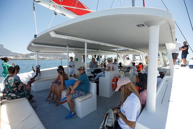 1- Hour Catamaran Cruise Cape Town - What the $18.98 price delivers