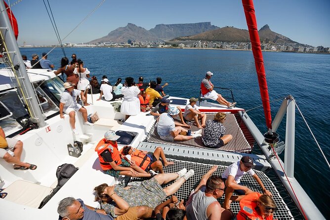1- Hour Catamaran Cruise Cape Town - Vessel changes, delays, and other practical concerns