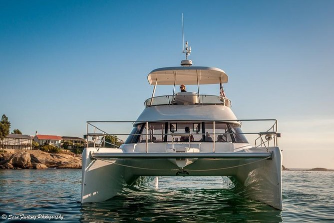 1 Hour Coastal Catamaran Cruise from Cape Town - Returning with Cape Town behind you