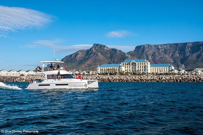 1 Hour Coastal Catamaran Cruise from Cape Town - What the $21.28 price really gets you