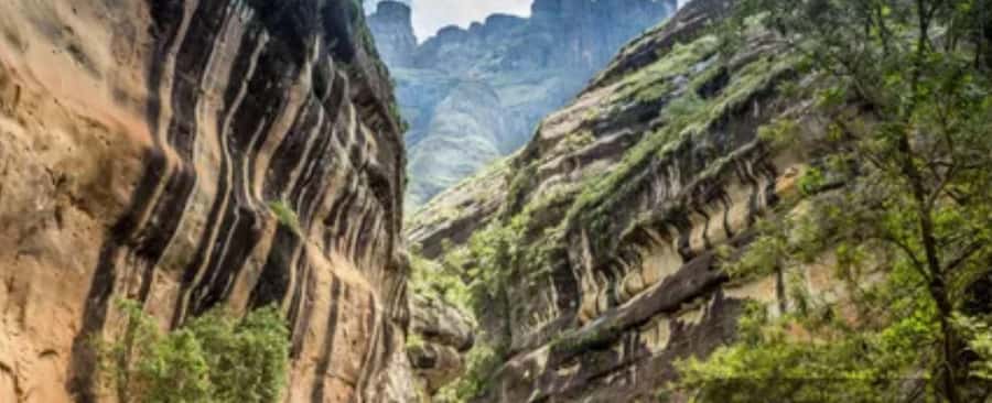10 Day South Africa Tour Joburg to Cape Town - Hiking beneath the Drakensberg peaks