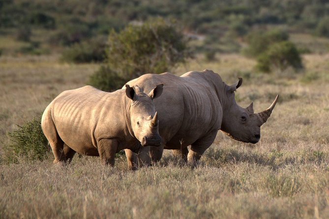 13 Day Safari - Cape Town to Johannesburg - Why this 13-day route works