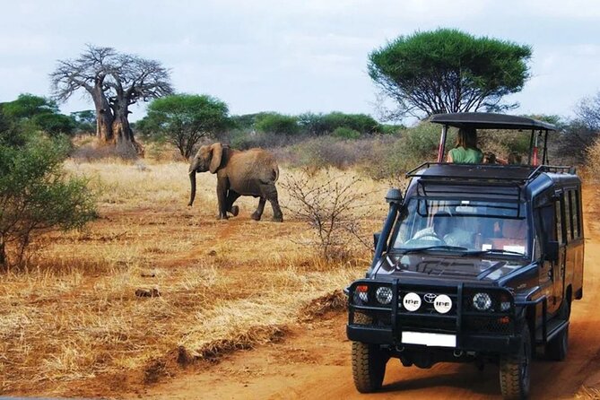 13 Day Safari - Cape Town to Johannesburg - Day 1: Wine, dry hills, and Oudtshoorn