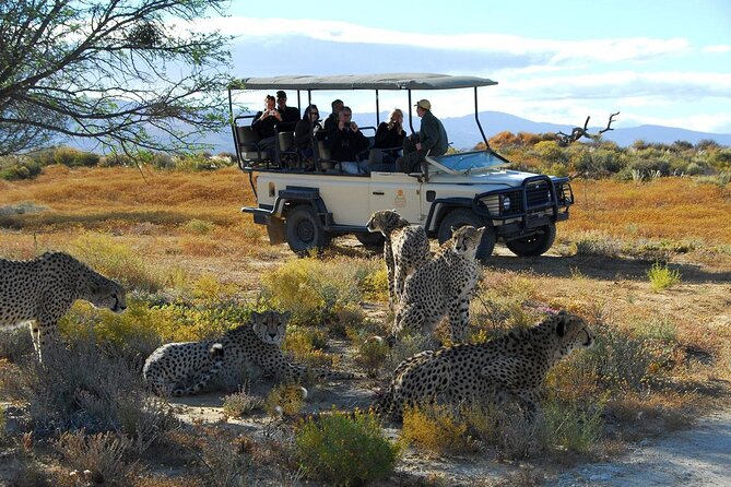 2 Day Inverdoorn Luxury Safari - Dinner by the fire after the safari