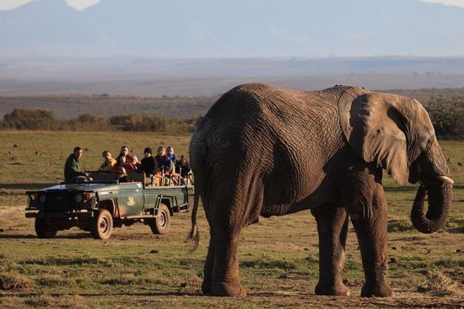 2 Day Safari Experience from Cape Town - Day 1: Cape Town to Cape Agulhas