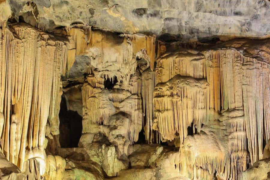 2 Day Small Group Cape Town: Garden Route Big 5 Safari Tour - Key points to know before booking