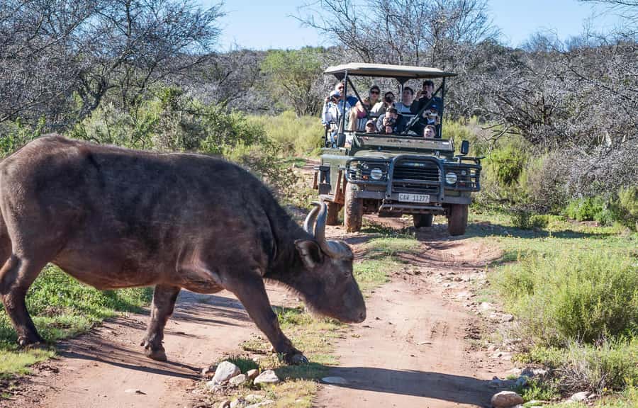 2 Day Small Group Cape Town: Garden Route Big 5 Safari Tour - Walking through Cango Caves
