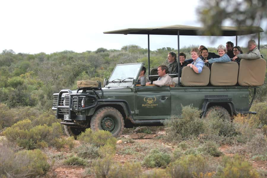 2 Day Small Group Cape Town: Garden Route Big 5 Safari Tour - The long return to Cape Town