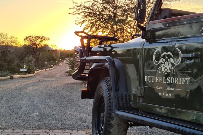 2 Day Small Group Garden Route Big 5 Safari Tour from Cape Town - Chandelier Game Lodge: dinner and a night in the bush