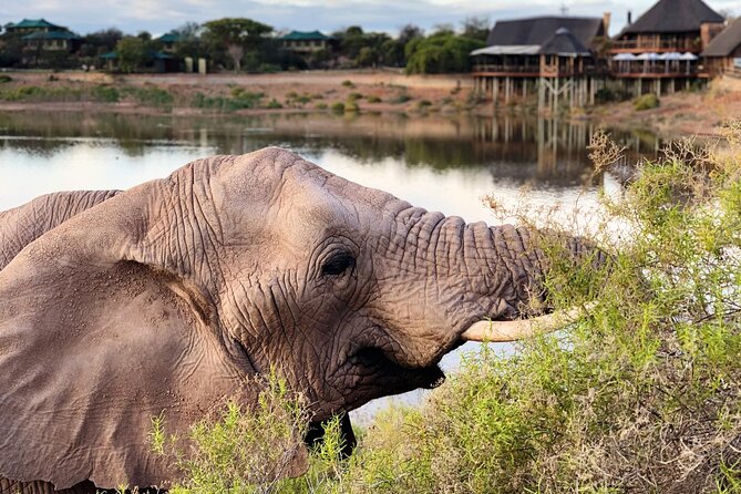 2 Day Small Group Garden Route Big 5 Safari Tour from Cape Town - What the $1,436.80 price really covers