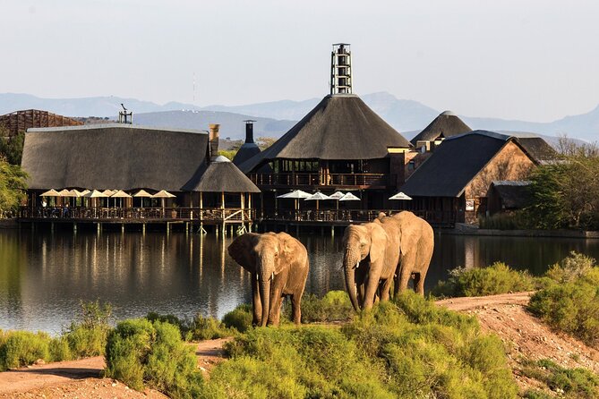 2 Day Small Group Garden Route Big 5 Safari Tour from Cape Town - Buffelsdrift: elephant encounter and afternoon bush drive