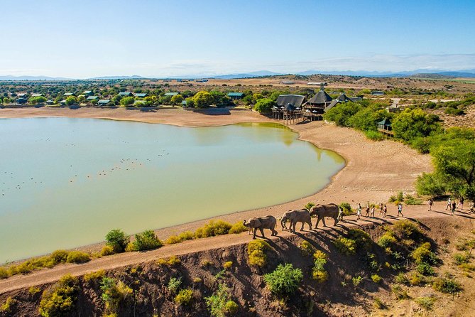 2 Day South African Wildlife Tour with 4x4 Safari from Cape Town - Two reserves, one very full weekend