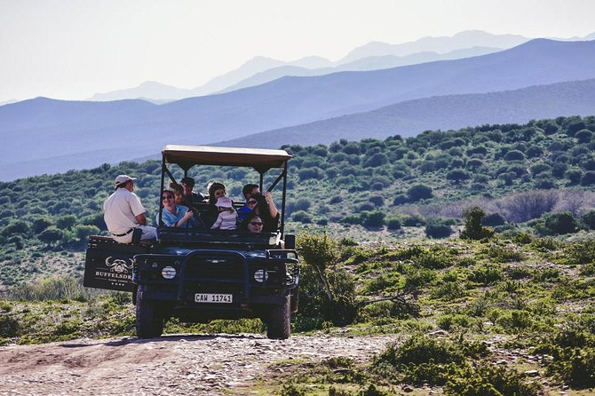 2 Day South African Wildlife Tour with 4x4 Safari from Cape Town - The optional elephant observation