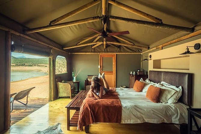2 Day Wild Heart Western Cape Safari Tour with Private Transfers - The guide can make or break the pace