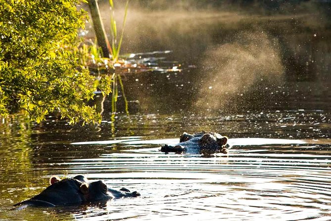 2-Hour Game Drive at the Plettenberg Bay Game Reserve - A compact safari near Plettenberg Bay