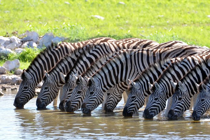 2-Nights 5-star Sanbona Game Reserve with private transfers to and from Sanbona - What this Sanbona transfer actually includes