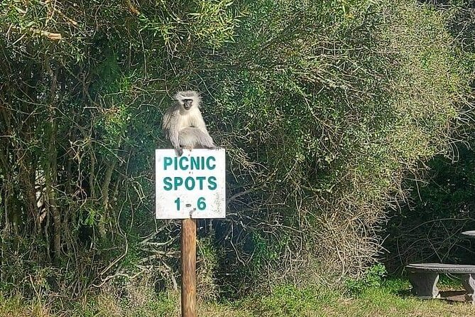 2hr Guided Game Drive at 10h00; Kragga Kamma Game Park Ticket - Getting there is the part to plan carefully