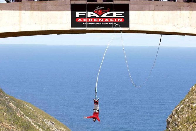 3 Day Big 5 and Bungee Tour - Garden Route Small Group Tour from Cape Town - The 5 a.m. start and the long road south