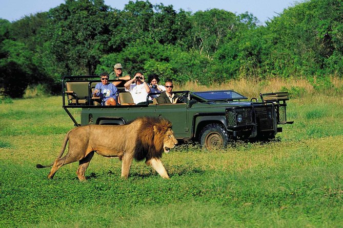 3 Day Big 5 and Bungee Tour - Garden Route Small Group Tour from Cape Town - Wild Oats market and local flavor on day two