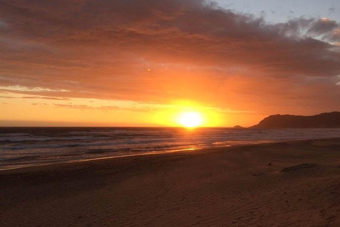 3 Day Big 5 and Bungee Tour - Garden Route Small Group Tour from Cape Town - What the $372.28 price really covers