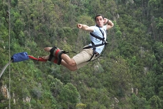 3 Day Big 5 and Bungee Tour - Garden Route Small Group Tour from Cape Town - The pace, the group, and the trade-offs