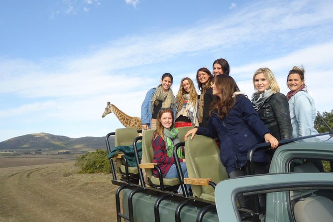 3 Day Big 5 and Bungee Tour - Garden Route Small Group Tour from Cape Town - Zip-lines, rope bridges, and the first night in Sedgefield