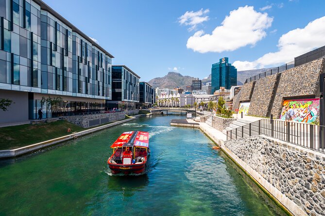 3 Day Cape Town Holiday South Africa - Day 1: Robben Island, sea life, Bo-Kaap, and Table Mountain
