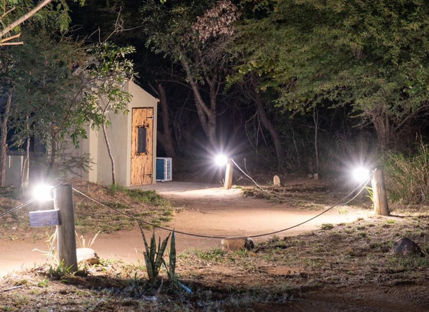 3 Day Dumela Tented Camp Safari - Day one: from OR Tambo to a sunset drive