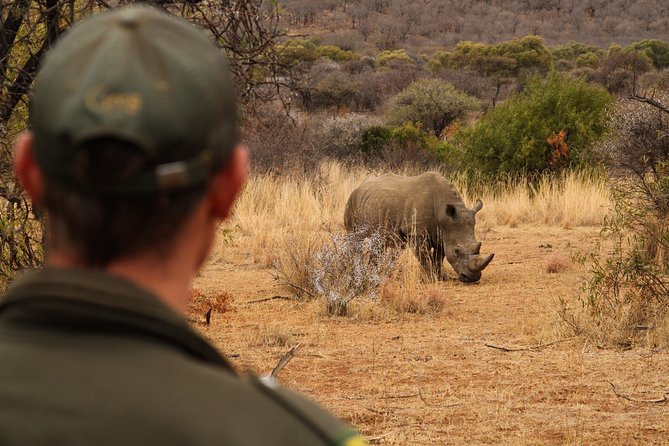 3 Day Garden Route Highlights and Safari with Private Transfers - Forest, coast, and the Bloukrans Bridge