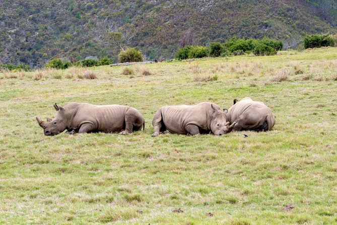 3 Day Garden Route's Best Highlights with Safari from Cape Town - An evening by the Indian Ocean