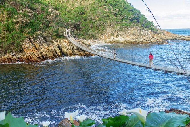 3 Day Garden Route's Best Highlights with Safari from Cape Town - Cango Caves: choose your level of adventure
