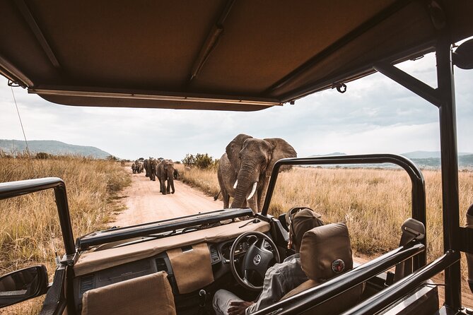 3 Day Garden Route Tour - Route 62 to Oudtshoorn at 6 a.m.