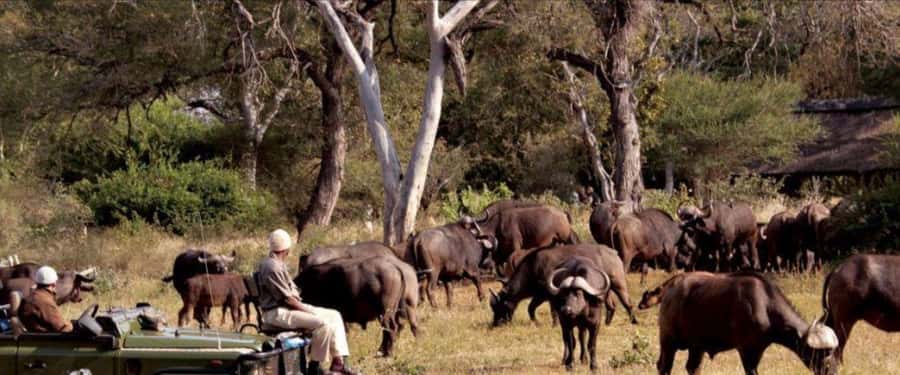 3 Day Hluhluwe & Isimangaliso Wetlands Pk Tour from Durban - Key points at a glance