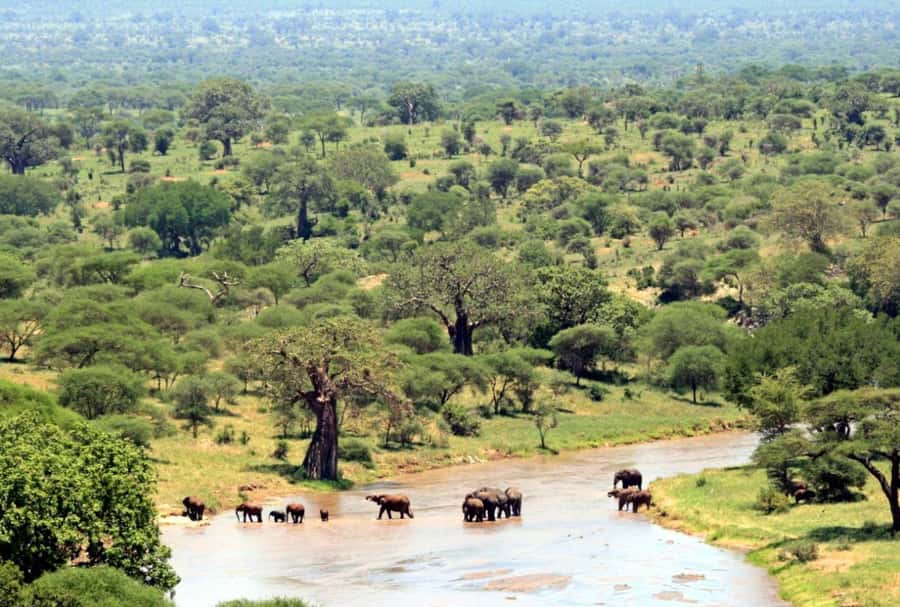 3 Day Hluhluwe & Isimangaliso Wetlands Pk Tour from Durban - How the small-group format affects your days