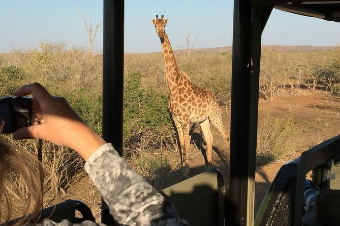 3-Day Kruger National Park Open Vehicle Safari - The Johannesburg pickup and long road to the park