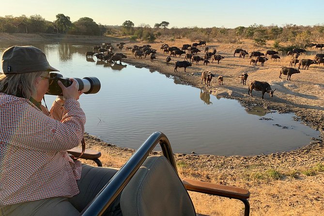 3-Day Kruger National Park Open Vehicle Safari - Comfort, group size, and daily pace