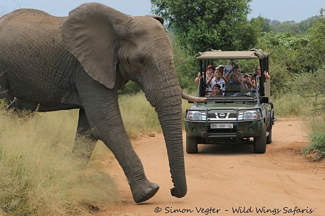 3-Day Kruger National Park Open Vehicle Safari - Day two: the main wildlife day
