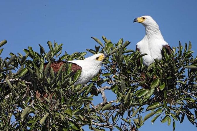3 Day Kruger National Park Safari & Panorama Route - Why this three-day Kruger plan works