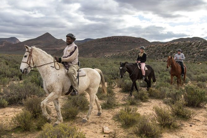 3 Day Luxury Aquila Private Game Reserve - From Cape Town to the Karoo