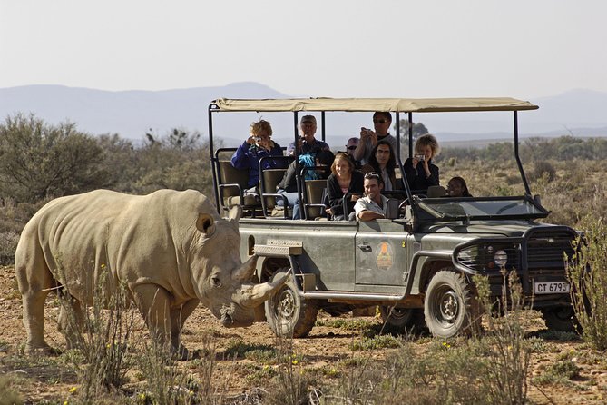 3 Day Luxury Aquila Private Game Reserve - Is the $1,746.47 price fair?