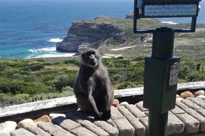 3 Day Private Full Day Cape Town Tour Includes Entries,Peninsula,Wine,City Tour, - Why three days works better than one
