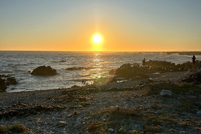 3 Day Safari and Coastal Tour from Cape Town - What the $604.60 price includes
