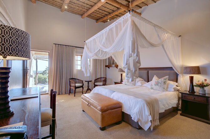 3 Day Safari and Coastal Tour from Cape Town - The pace, comfort, and practical details
