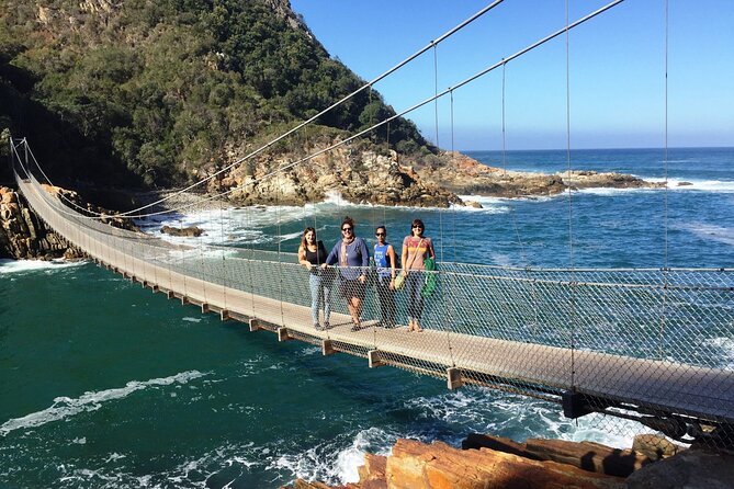 3 Days 2 Nights Garden Route Private Tour from Cape Town - Cango Wildlife Ranch and the final ostrich stop