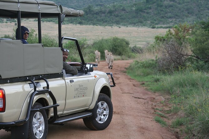 3-Hour Private Game Drive of Pilanesberg National Park - The guide is the key part of the experience