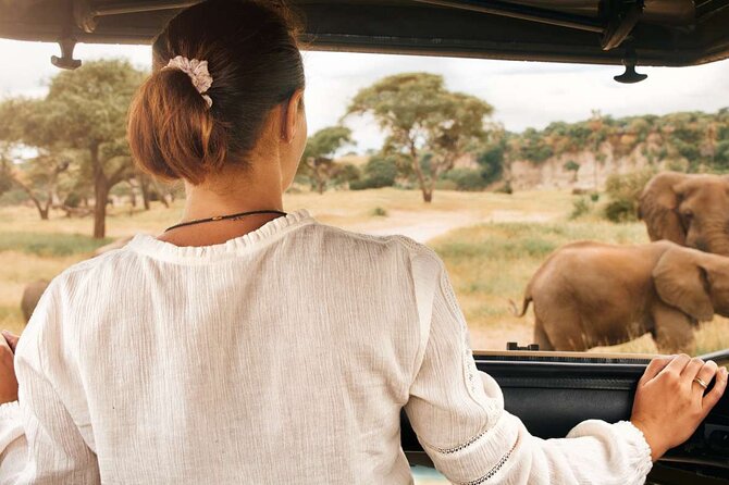 3-Hour Scheduled Safari Game Drive in Pilanesberg National Park - What you see from the open safari vehicle