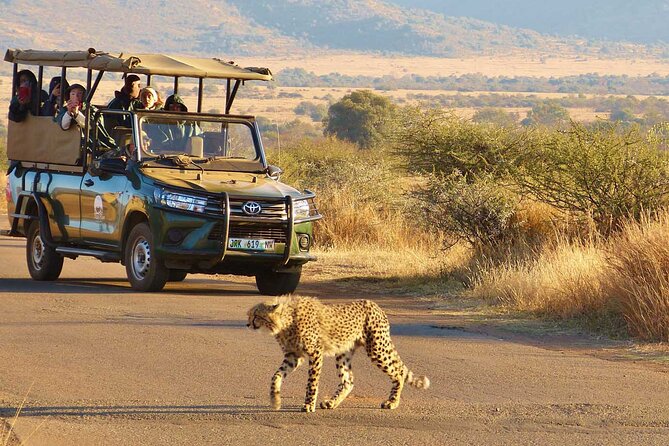 3-Hour Scheduled Safari Game Drive in Pilanesberg National Park - Who should book this safari?
