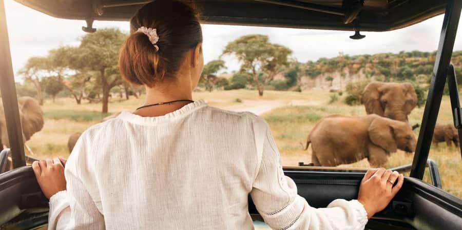 3-Hour Shared Game Drive in Pilanesberg National Park - Pickup from Sun City and the short ride to the gate